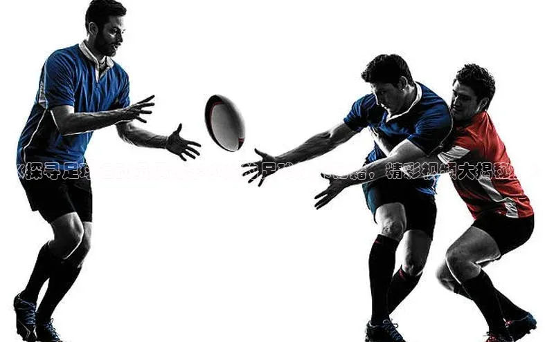 天富平台登录注册ARGA公司《探寻足球运动员偶像李小龙的足球技术秘籍，精彩视频大揭秘！》