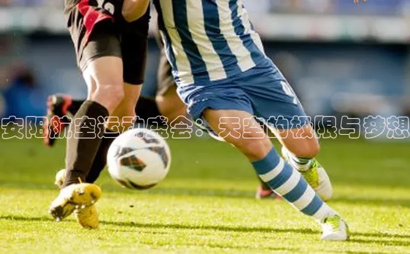 安阳航空运动盛会：天空的极限与梦想