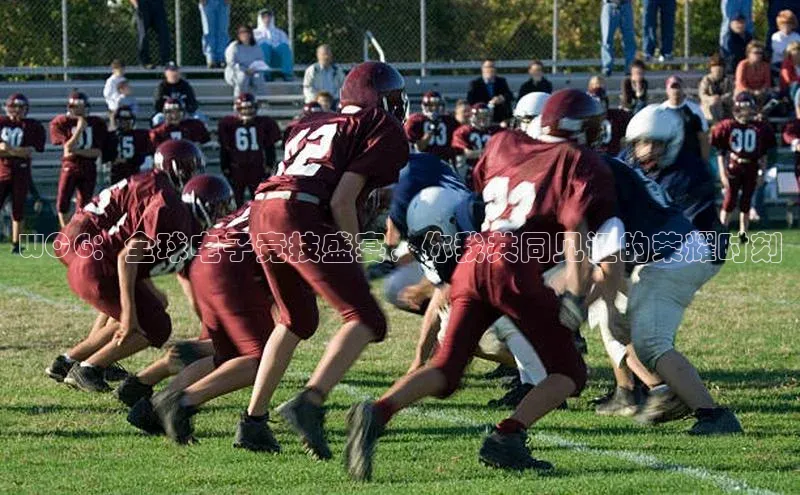 WCG：全球电子竞技盛宴，你我共同见证的荣耀时刻