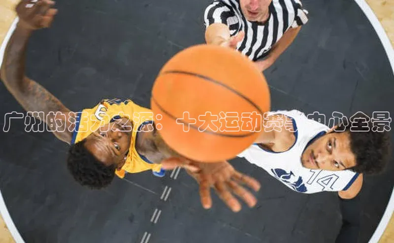 广州的活力之源：十大运动赛事中心全景