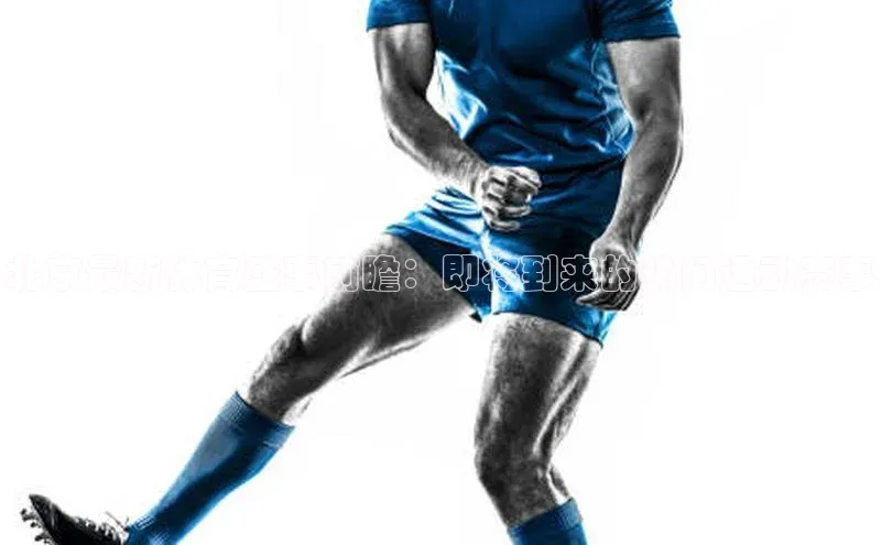 北京最新体育盛事前瞻：即将到来的热门运动赛事