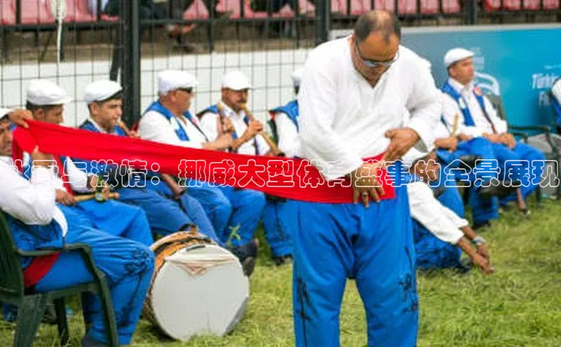 冰雪与激情：挪威大型体育盛事的全景展现