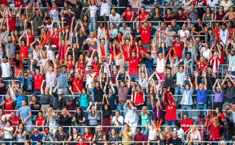 深化合作，共享辉煌：大型运动赛事赞助商权益与策略探讨