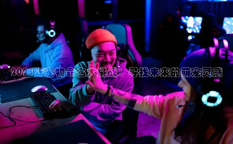 天富平台官方网站登录入口